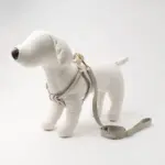 メッシュコンビ反射テープハーネス+リードSET【名入れ刺繍対応】