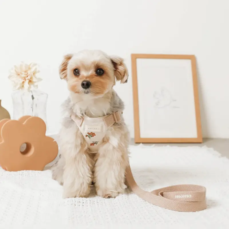 冷感フラワー刺繍ハーネス+リードSET【名入れ刺繍対応】