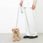 冷感アイスクリーム柄ハーネス+リードSET【名入れ刺繍対応】