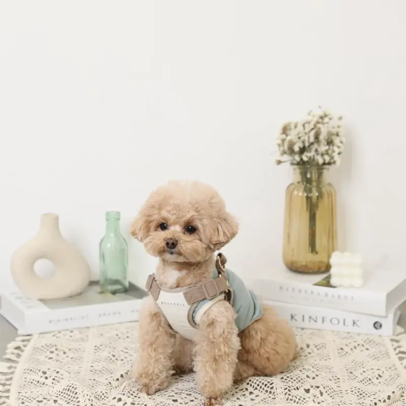 撥水バイカラーハーネス+リードSET【名入れ刺繍対応】