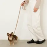 撥水バイカラーハーネス+リードSET【名入れ刺繍対応】