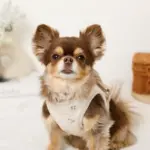 冷感マリン柄刺繍ハーネス+リードSET【名入れ刺繍対応】