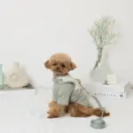 冷感マーガレット柄ハーネス+リードSET【名入れ刺繍対応】【保冷剤付き】