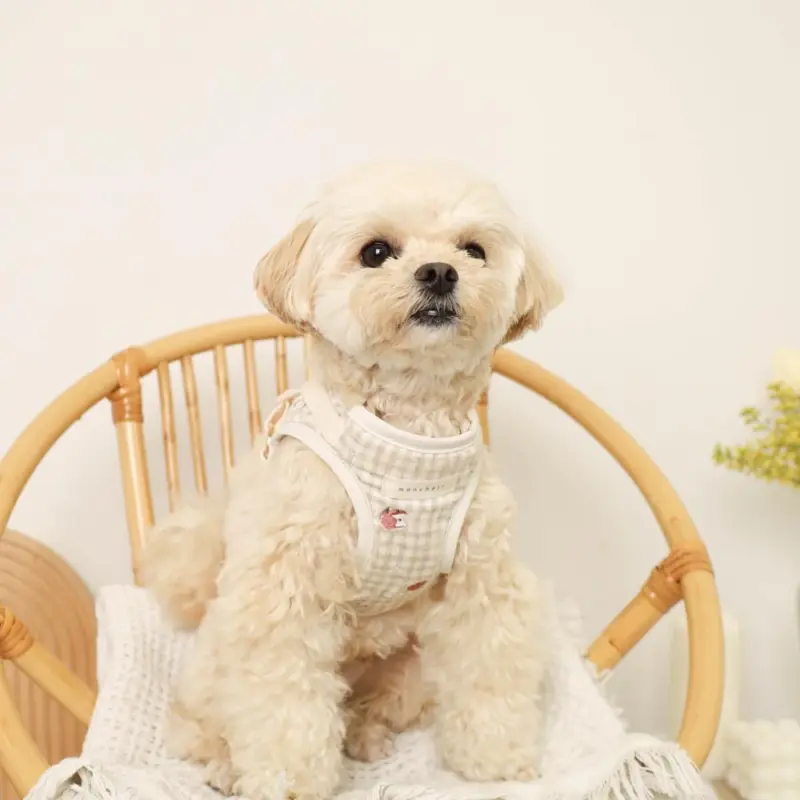 リンゴ柄刺繍ハーネス+リードSET【名入れ刺繍対応】