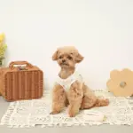 リンゴ柄刺繍ハーネス+リードSET【名入れ刺繍対応】