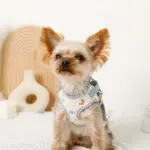 恐竜柄刺繍ハーネス+リードSET【名入れ刺繍対応】