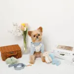 恐竜柄刺繍ハーネス+リードSET【名入れ刺繍対応】