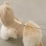 おさんぽロングリード5m