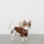 サークルチャームチェーンネックレス【名入れ彫刻対応】