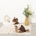 レモン柄刺繍ハーネス+リードSET【名入れ刺繍対応】