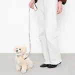 バイカラーレザーリード