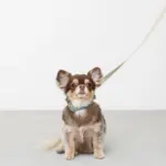 シュリンクレザーコットンライクリード