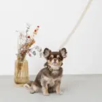 シュリンクレザーコットンライクリード