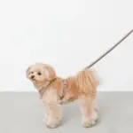 2wayコットンライクリード【名入れ刺繍対応】