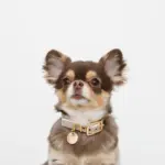 バイカラーサークルチャームレザーカラー【名入れ彫刻対応】