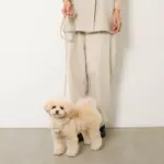 ソフトラバーハーネス+リードSET