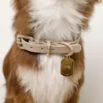 ソフトラバーカラー＋リードSET【名入れ彫刻対応】