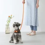 オーストレザーリボンペンダントカラー【名入れ彫刻対応】