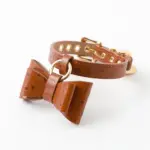 オーストレザーリボンペンダントカラー【名入れ彫刻対応】