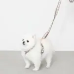 フラワーテープハーネス