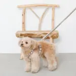 フラワーテープハーネス