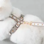 2wayフラワーテープリード