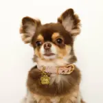 なみなみフラワーチャームレザーカラー【名入れ彫刻対応】