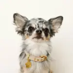 なみなみフラワーチャームレザーカラー【名入れ彫刻対応】