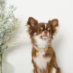 なみなみフラワーチャームレザーカラー【名入れ彫刻対応】