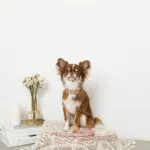 なみなみフラワーチャームレザーカラー【名入れ彫刻対応】