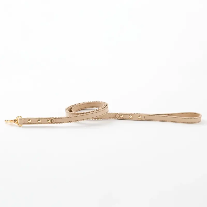 なみなみレザーリード