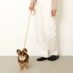 なみなみレザーリード