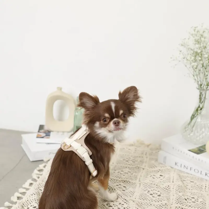 PUレザーテープハーネス+リードSET