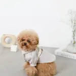 PUレザーテープハーネス+リードSET