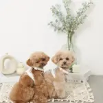 PUレザーテープハーネス+リードSET