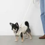 PUレザーテープハーネス+リードSET