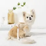 フード付きボーダーハーネス+リードSET【名入れ刺繍対応】