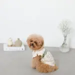 反射ほし柄ハーネス