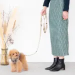 シンプルベーシックカラーリード