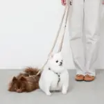 シンプルベーシックカラー継ぎ足しリード