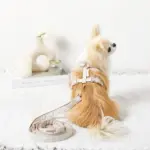 ギンガムチェックハーネス+リードSET【名入れ刺繍対応】