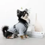 ギンガムチェックハーネス+リードSET【名入れ刺繍対応】