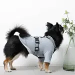 ギンガムチェックハーネス+リードSET【名入れ刺繍対応】