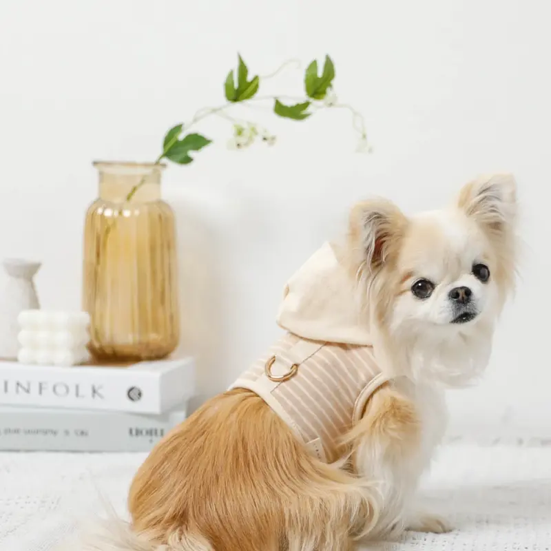 フード付きボーダーハーネス+リードSET【旧モデル】