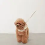 フード付きボーダーハーネス+リードSET【旧モデル】