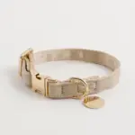 エコスエードカラー＋リードSET【名入れ彫刻対応】