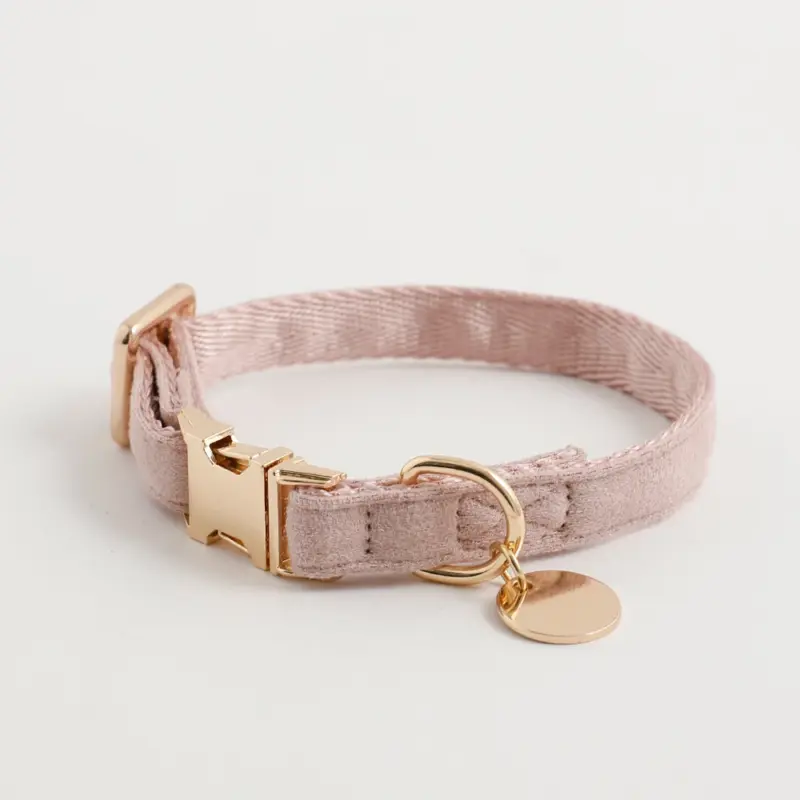 エコスエードカラー＋リードSET【名入れ彫刻対応】