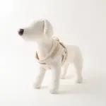 ボーダー冷感ハーネス＋リードSET【名入れ刺繍対応】