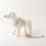 ペット 用品 おしゃれ - Professional Guide and Review