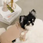 ボアコンビハーネス＋リードSET【名入れ刺繍対応】